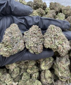 ATOMIC WARHEADZ – 750$