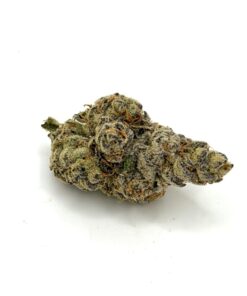 Jamaican Cream Haze- THC 28%