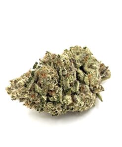 Birds Of Paradise- 28% THC